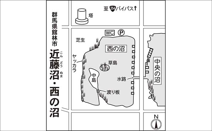 今週のヘラブナ推薦釣り場2026【群馬・近藤沼】