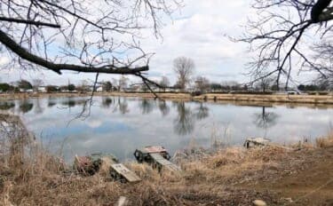 今週のヘラブナ推薦釣り場2026【群馬・近藤沼】