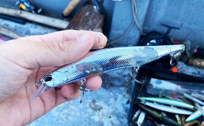 伊勢湾奥キャスティングゲームで「サワラカッター2発」の洗礼に泣く ツバスは連発