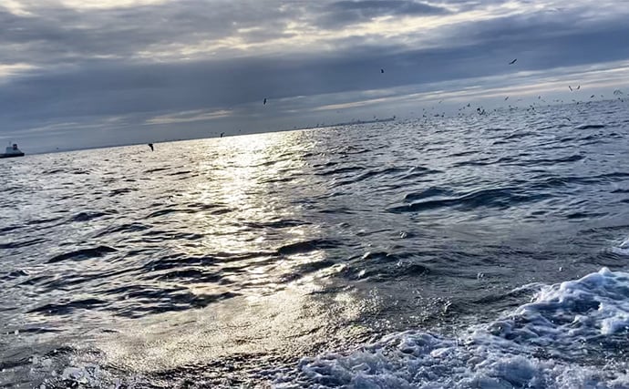 伊勢湾奥キャスティングゲームで「サワラカッター2発」の洗礼に泣く ツバスは連発