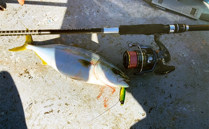 伊勢湾奥キャスティングゲームで「サワラカッター2発」の洗礼に泣く ツバスは連発