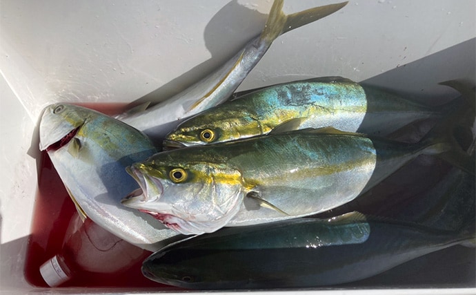 伊勢湾奥キャスティングゲームで「サワラカッター2発」の洗礼に泣く ツバスは連発