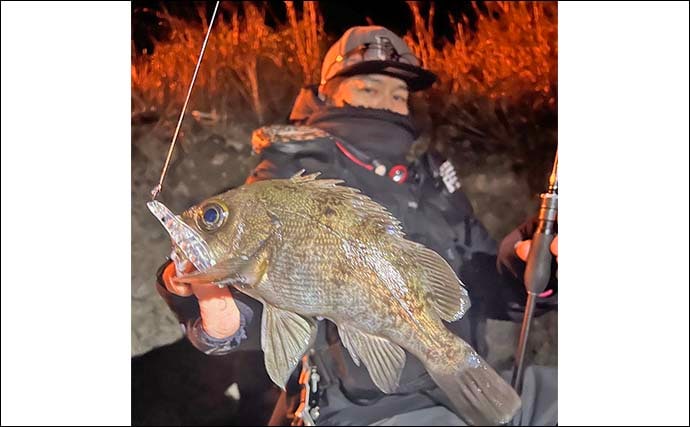 「絶好のチャンス到来中！」地磯メバリングで25cm筆頭に良型メバルが連続ヒット【熊本】