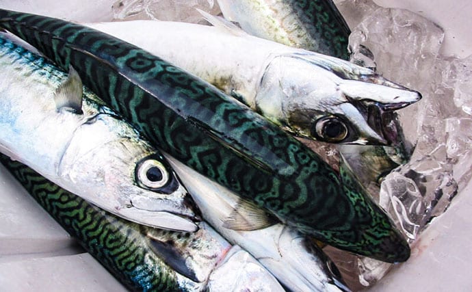 魚の臭みの原因と対策　苦手な人でも食べられる調理法と下処理方法も解説