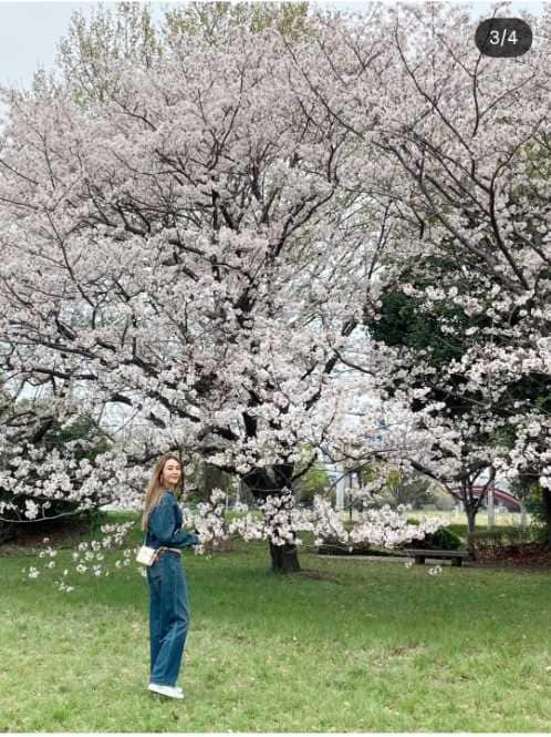 Instagram:観月ありさ(@alisa_mizuki)より