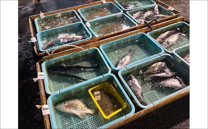 魚を釣りたいなら朝市に行くべし！　冬はターゲット選定が釣果を大きく左右する？