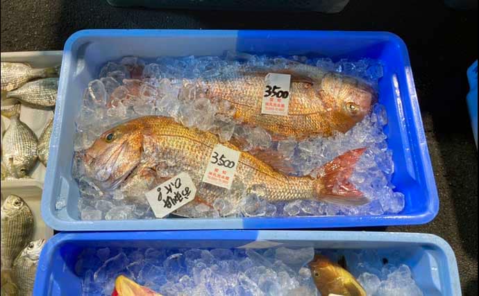 魚を釣りたいなら朝市に行くべし！　冬はターゲット選定が釣果を大きく左右する？