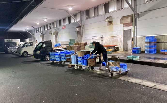 魚を釣りたいなら朝市に行くべし！　冬はターゲット選定が釣果を大きく左右する？