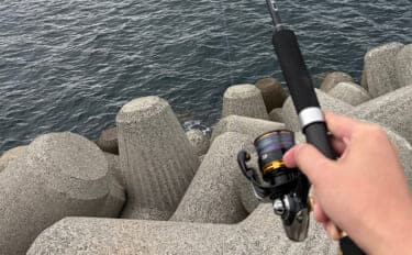 「実は多彩な釣り物に流用可能!」ライトショアジギング(LSJ)タックル流用術