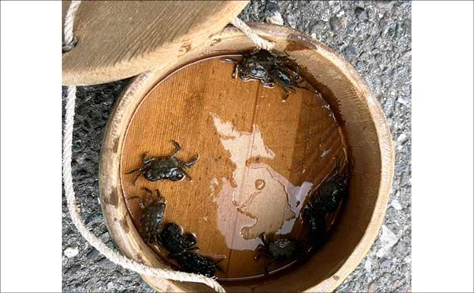 クロダイ乗っ込みシーズン開幕！落とし込み釣りで良型クロダイ2枚【名古屋港】