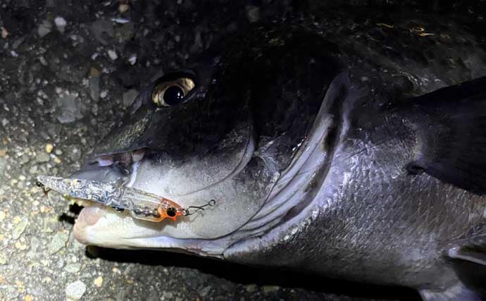 「予算4万円でいける？」チニングに必要な釣り道具を全て揃えてみよう　タモは必要不可欠！