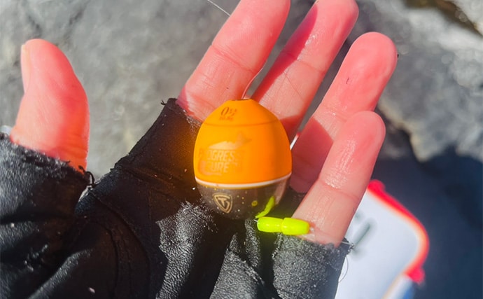 沖磯フカセ釣り43cm筆頭に良型クロ（メジナ）連発【大分】尾長グレも顔見せ