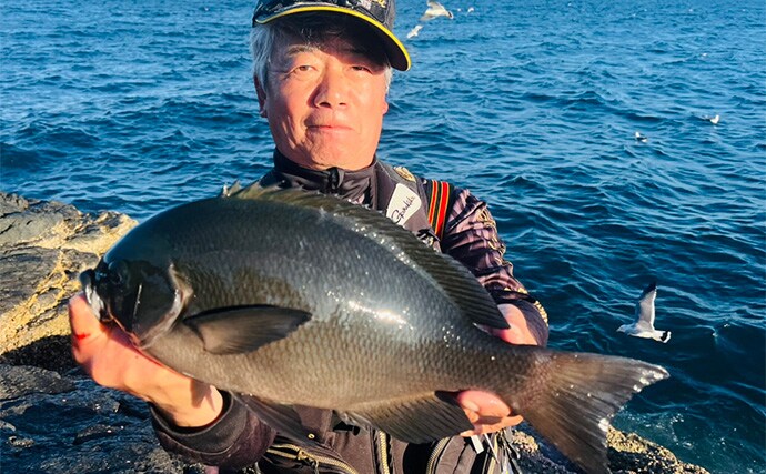 沖磯フカセ釣り43cm筆頭に良型クロ（メジナ）連発【大分】尾長グレも顔見せ