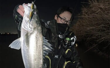 冬の河川でもシーバスは釣れる! 【狙うべきポイント・条件・注意点を解説】