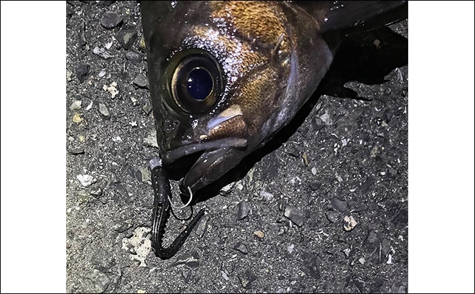 細かすぎるライトゲームの話 ジグヘッドのフックカラーは金と鉛で何が違う?