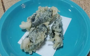 釣魚で作る「春の旬魚」レシピ：春チヌの磯辺揚げ　フワフワ食感を楽しもう