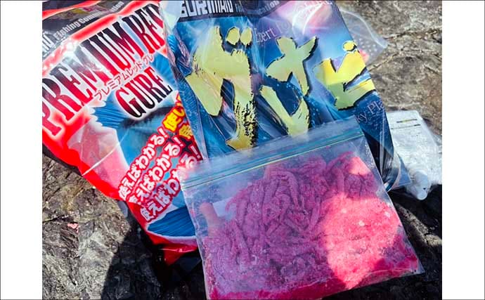 美味しそうな良型クロ（グレ）乱舞！磯フカセ釣りで45cm頭に本命続々【大分・蒲江】