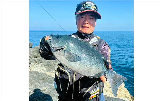 美味しそうな良型クロ（グレ）乱舞！磯フカセ釣りで45cm頭に本命続々【大分・蒲江】