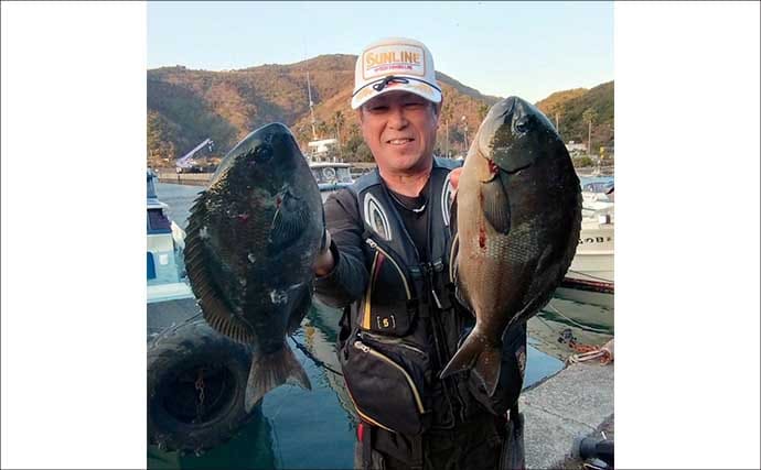 美味しそうな良型クロ（グレ）乱舞！磯フカセ釣りで45cm頭に本命続々【大分・蒲江】