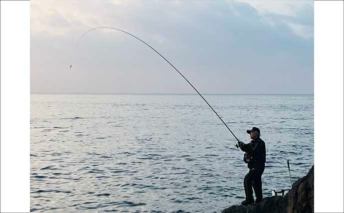 美味しそうな良型クロ（グレ）乱舞！磯フカセ釣りで45cm頭に本命続々【大分・蒲江】