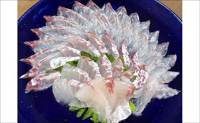 東京湾コマセマダイ釣りでトップ10尾＆全員安打達成【一之瀬丸】高ダナ攻略で本命連発