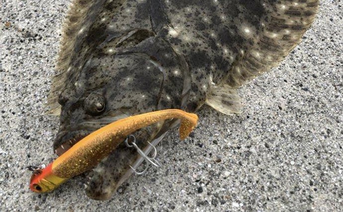 「ヒラメ連発も夢じゃない!」 秋の陸っぱりルアーヒラメ釣り徹底攻略法