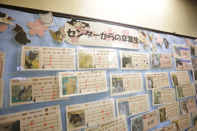 現在、動物愛護相談センターに収容された動物たちは、引き取り手が見つかるまでセンター内で暮らすことができる。一匹一匹に手作りのカードが作成されており、スタッフの動物愛が伝わってくる