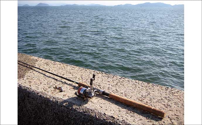 「有終の美飾れず？」終盤戦の陸っぱりイイダコ釣りで2ハイ手中も型に不満【岡山】