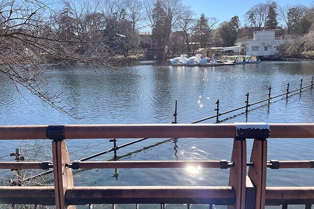 「井の頭恩賜公園」