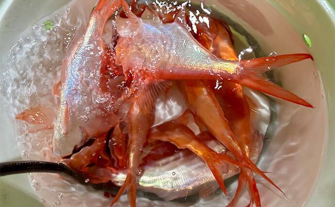 「フラッシャーサビキで赤いダイヤを狙う！」半夜キンメダイ釣りで2ケタ釣果達成【恵津丸】