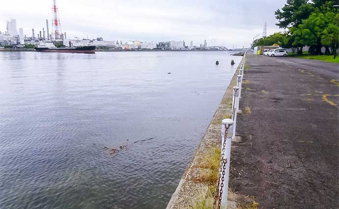 「秋晴れの運河でハゼ連発!」霞ケ浦緑地公園のちょい投げ釣りで32匹手中【三重】