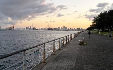 陸っぱりルアー釣りは朝と夕方どちらが楽しめる? 初心者こそ朝マヅメを推奨