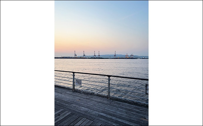 陸っぱりルアー釣りは朝と夕方どちらが楽しめる？　初心者こそ朝マヅメを推奨