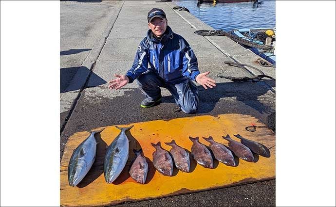 海上釣り堀でワラサ連発＆マダイ追釣！【静岡・沼津】カツオの切り身が的中