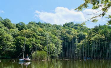 吉田康雄のザ・チャレンジへらぶな【完デコのリベンジin片倉ダム#4】