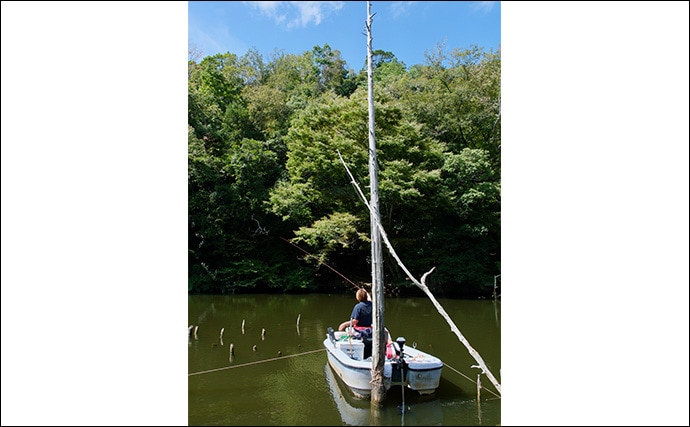 吉田康雄のザ・チャレンジへらぶな【完デコのリベンジin片倉ダム#4】
