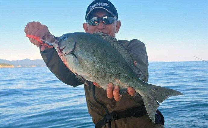 那智勝浦の天びん五目釣りで季節外れのウメイロが連発【和歌山】多彩な美味魚が続々