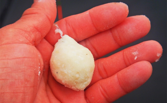 荒川温排水で10kgオーバー大型コイ堂々浮上！【埼玉】ボラのいぬ間に釣るべし？