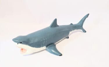 古代の巨大ザメ<メガロドン>の生存を脅かした古代生物 全長10m超のライバルたち