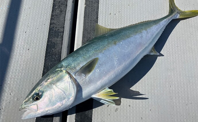 「釣りの聖地」五島列島遠征ルアー釣行で11kgヒラマサ登場　キャスティングにヒット