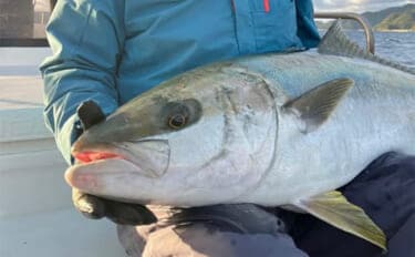 「釣りの聖地」五島列島遠征ルアー釣行で11kgヒラマサ登場 キャスティングにヒット