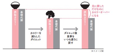 極端なダイエットは基礎代謝が落ちる【1週間で勝手に-10歳若返る体になるすごい方法】