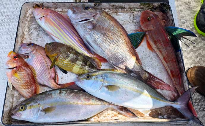 レンタルボートでのタイラバ釣行で多彩魚種顔見せ【三重】シロアマダイは不発