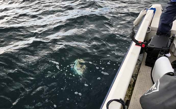 レンタルボートでのタイラバ釣行で多彩魚種顔見せ【三重】シロアマダイは不発