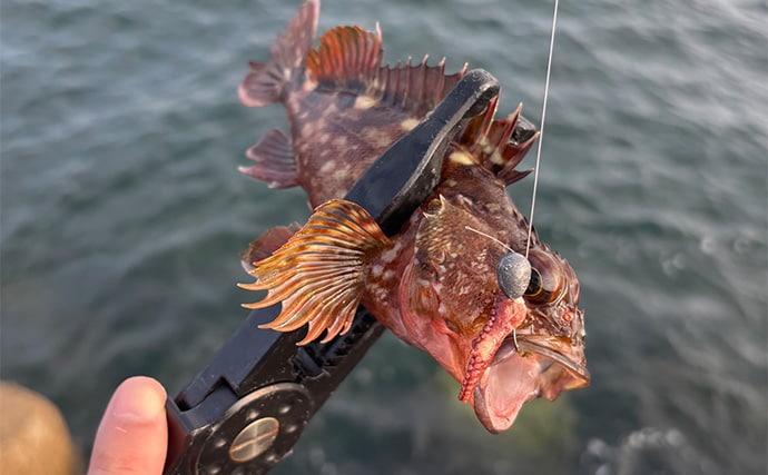 釣り人的スーパーマーケットの見方 釣りのエサになりそうなものはどれ?