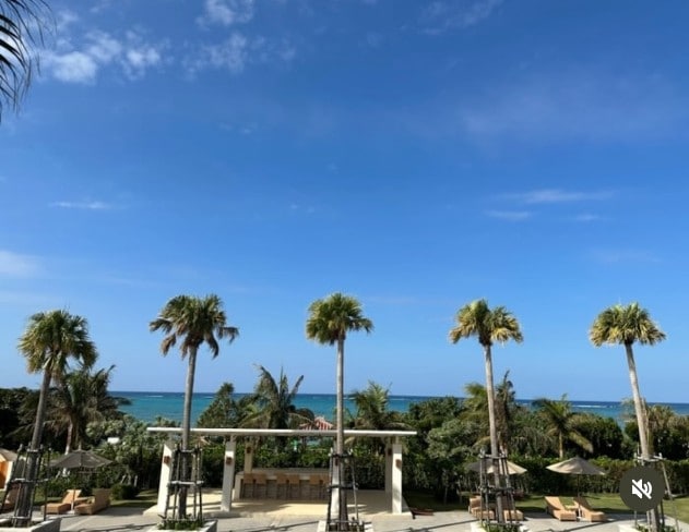 Instagram:高嶋ちさ子(@chisakotakashima)より