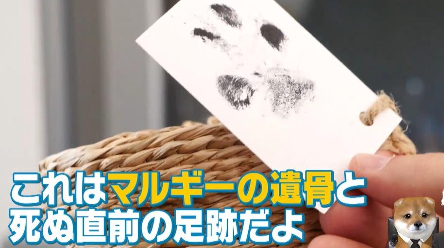 記事画像