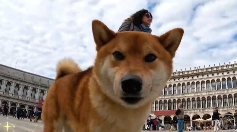 記事画像