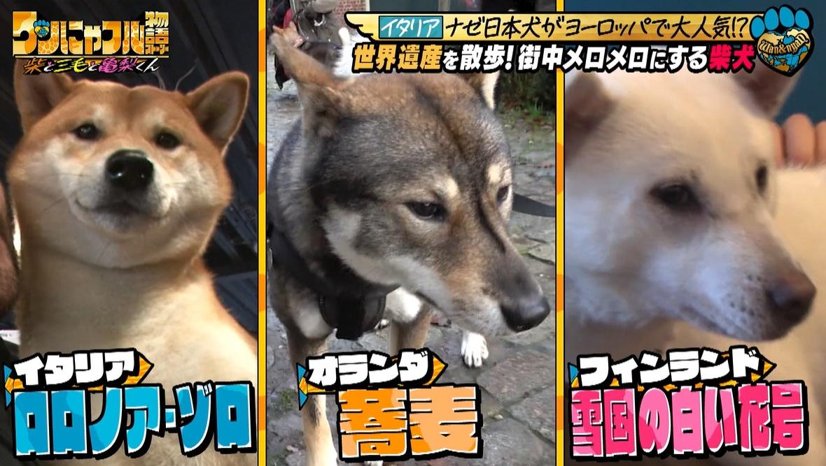 記事画像