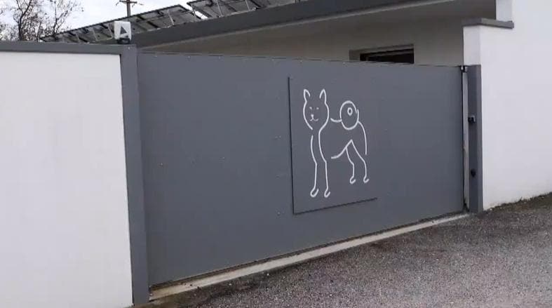 記事画像